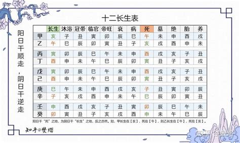 十二长生诀|十二长生